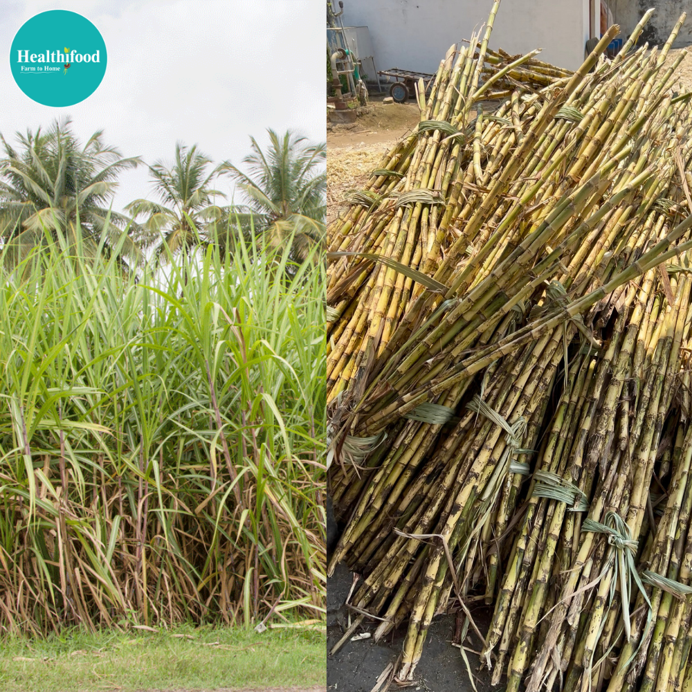 Native Cane Jaggery Powder (Healthy sweet substitute) - Image 3