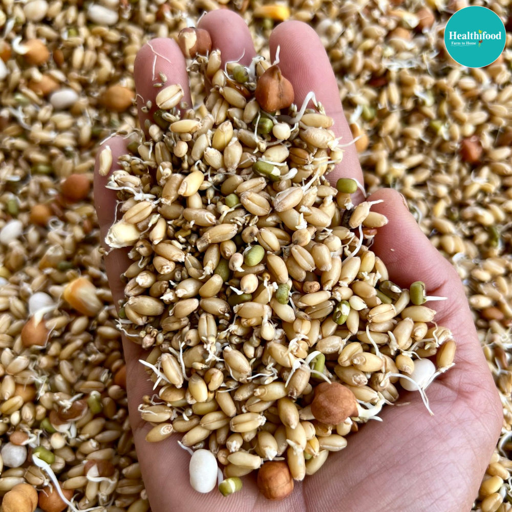 Sprouted Multigrain Chapati Mix (Protein rich & gut friendly) - Image 3