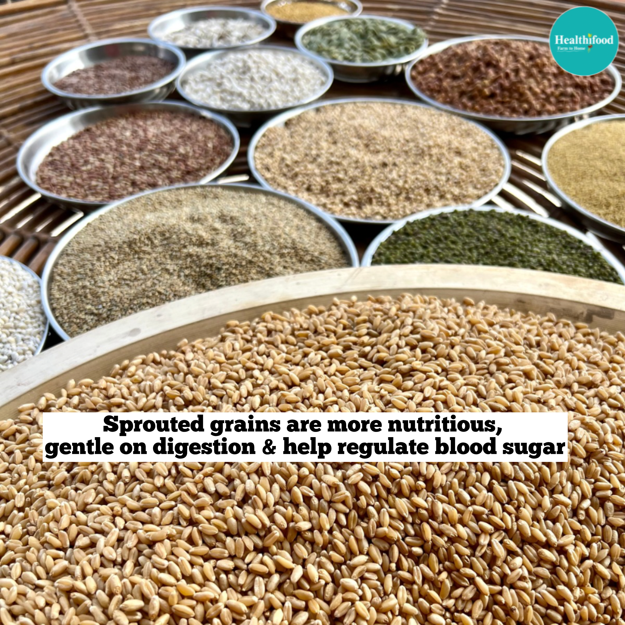 Sprouted Multigrain Chapati Mix (Protein rich & gut friendly) - Image 7