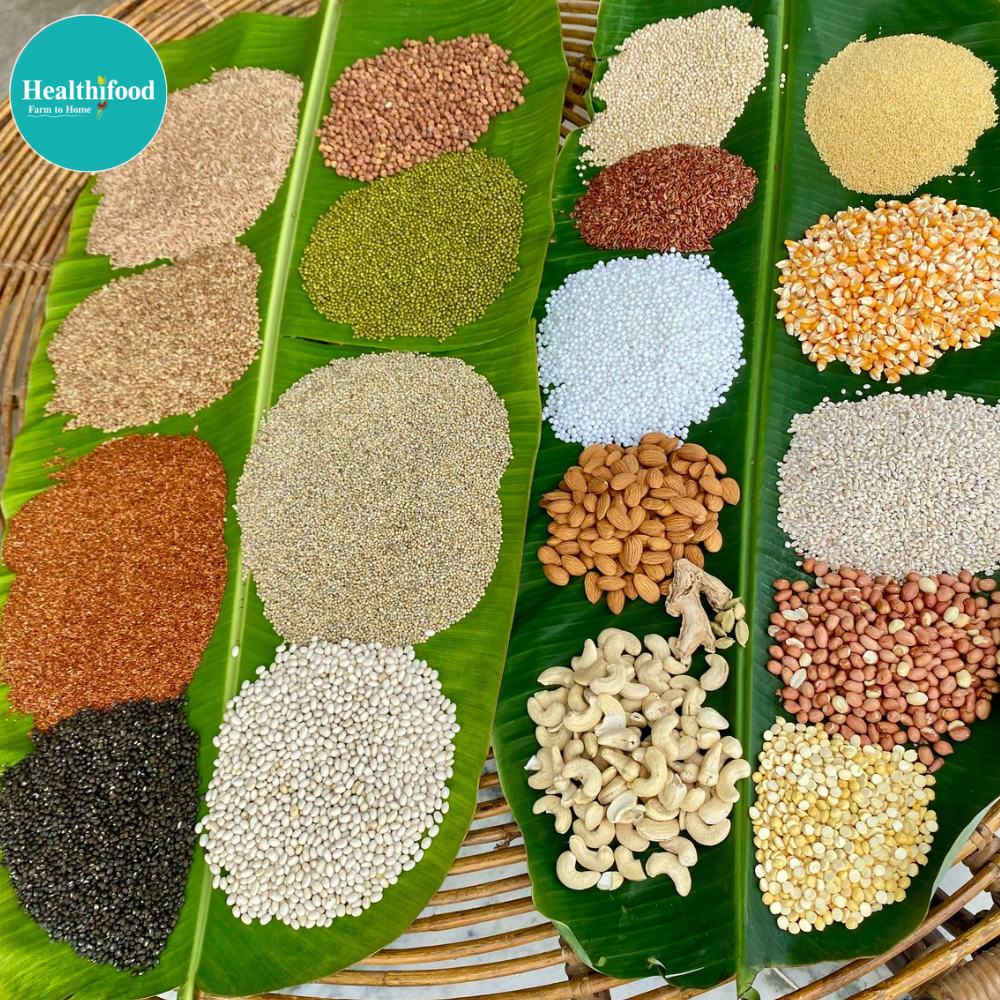 Sprouted Health Mix (100% Complete Balanced Nutrition) - Image 2