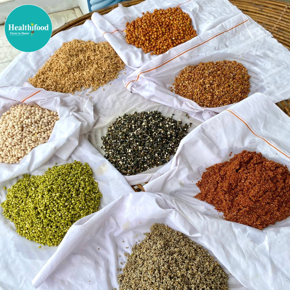 Sprouted Health Mix (100% Complete Balanced Nutrition) - Image 4