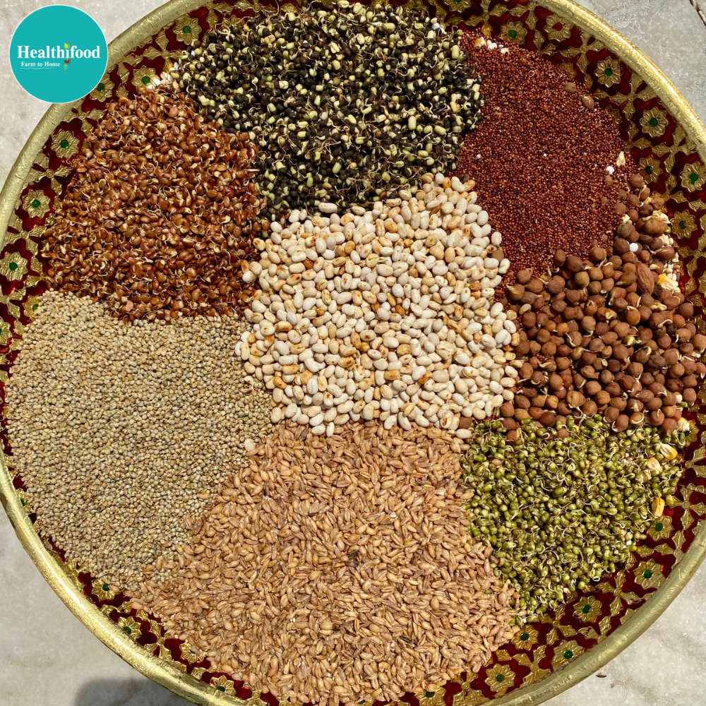 Sprouted Health Mix (100% Complete Balanced Nutrition) - Image 7