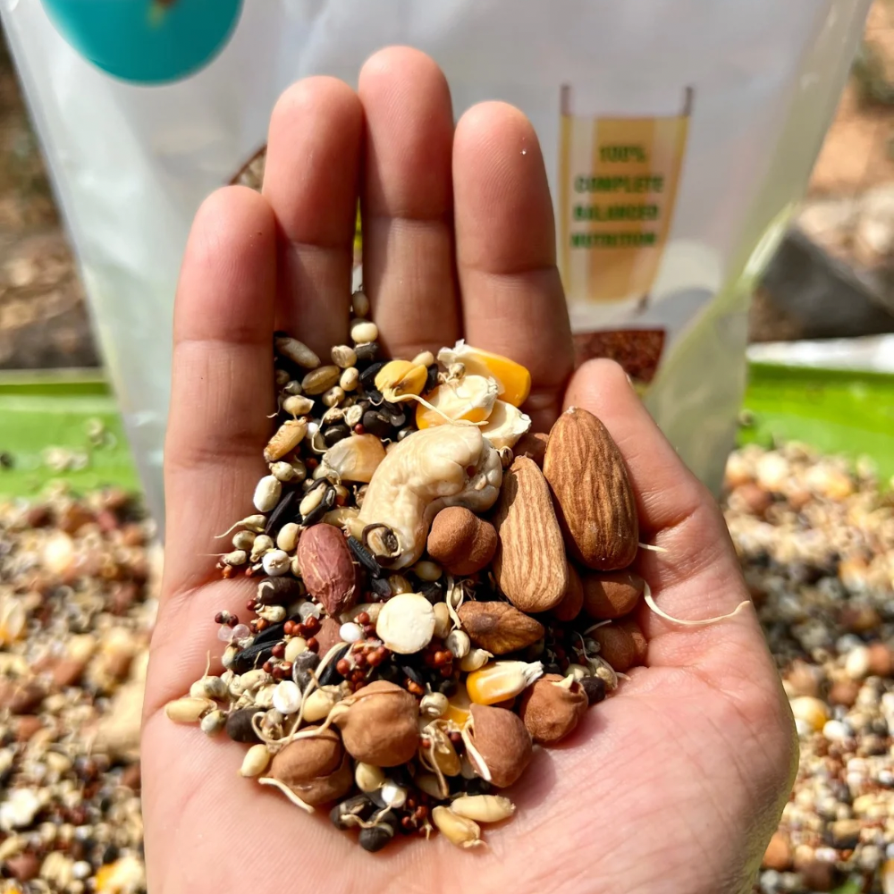 Sprouted Health Mix (100% Complete Balanced Nutrition) - Image 8