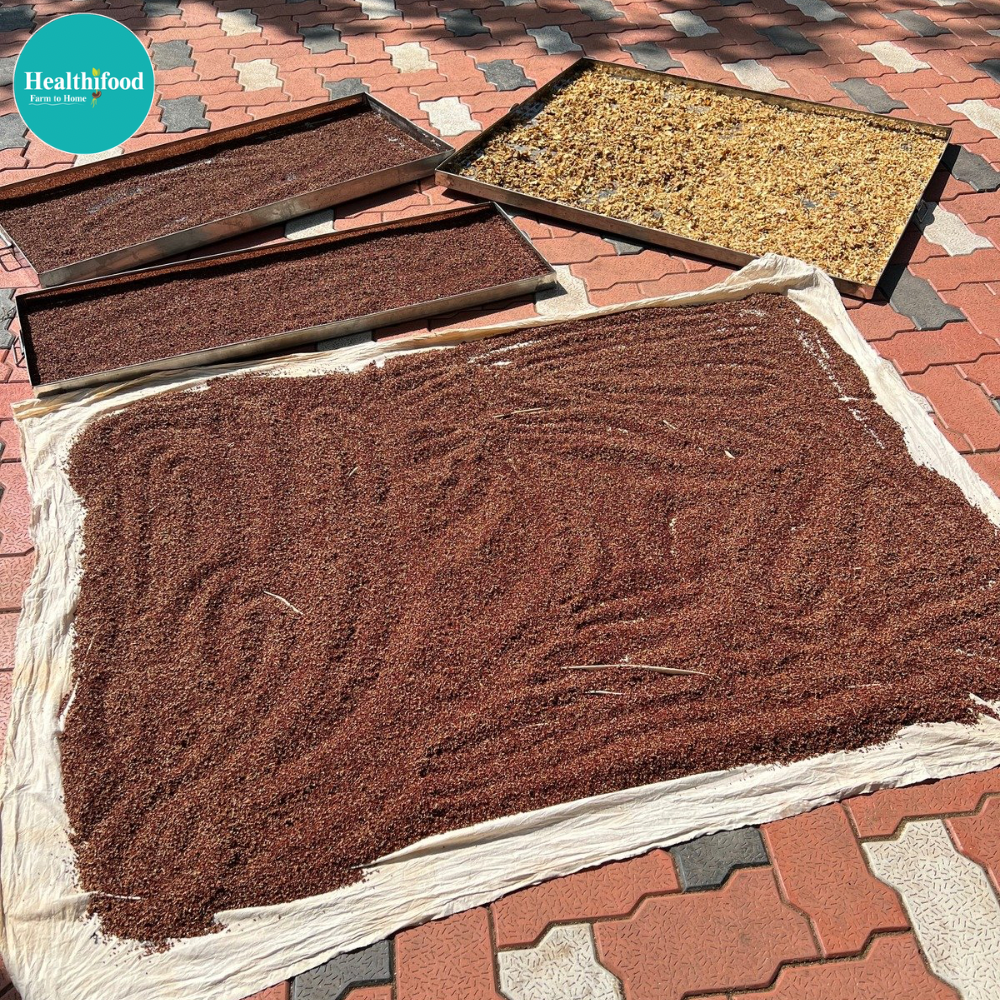 Sprouted Ragi Powder (10 times Higher Calcium Content) - Image 3